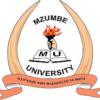 Mzumbe University_72.png Mzumbe University_72.png